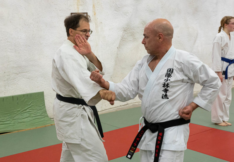Karaten peruskurssin kertaus ja keltaisen vyön koe